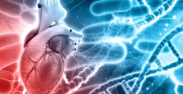 Acute Inferior STEMI with Right Ventricular Infarction and Cardiac Arrest